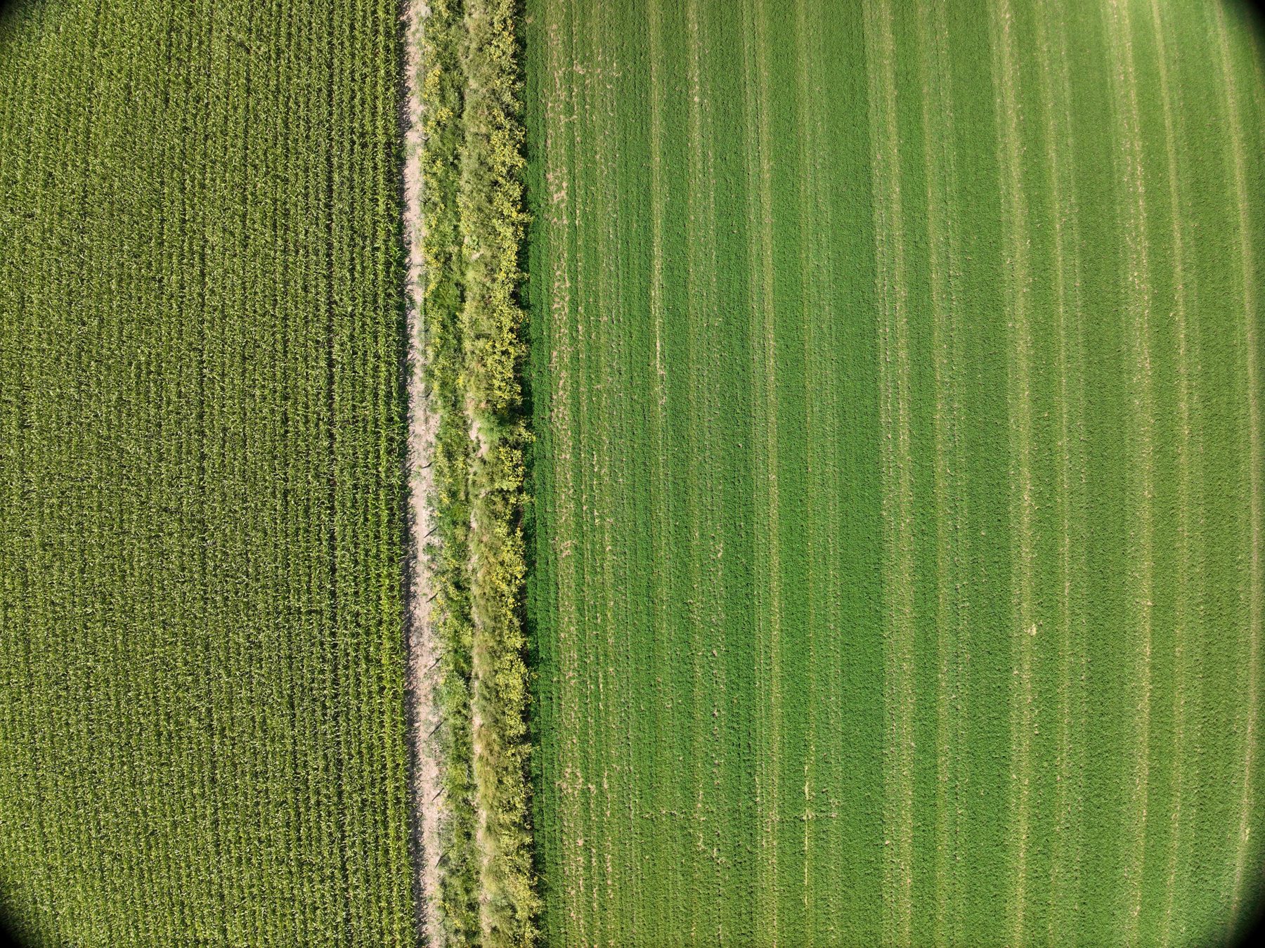 Aerial view of regional terrain